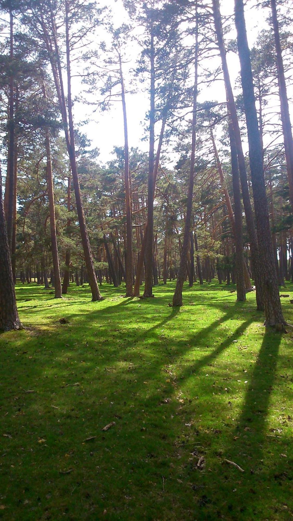 Pensjonat Casa Romulo Duruelo de la Sierra Zewnętrze zdjęcie